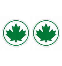 ZIELONY LISTEK ZNAK MŁODEGO...